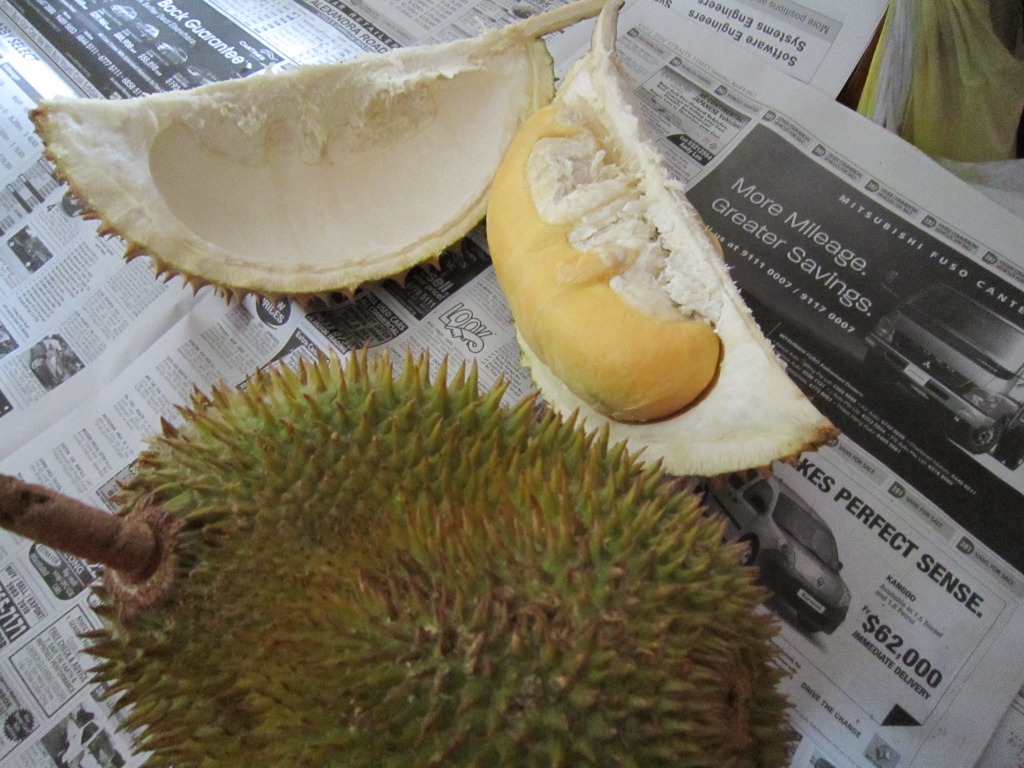 Durian!!!
